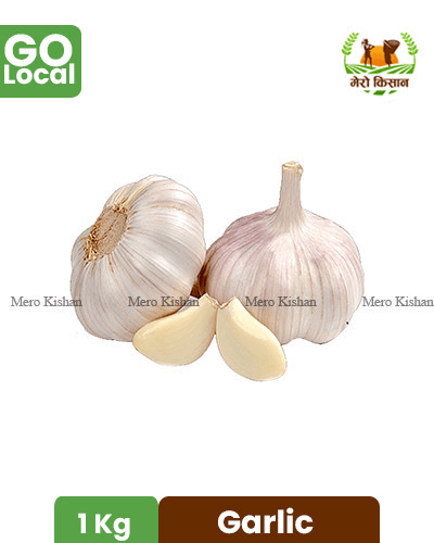 local garlic from baglung