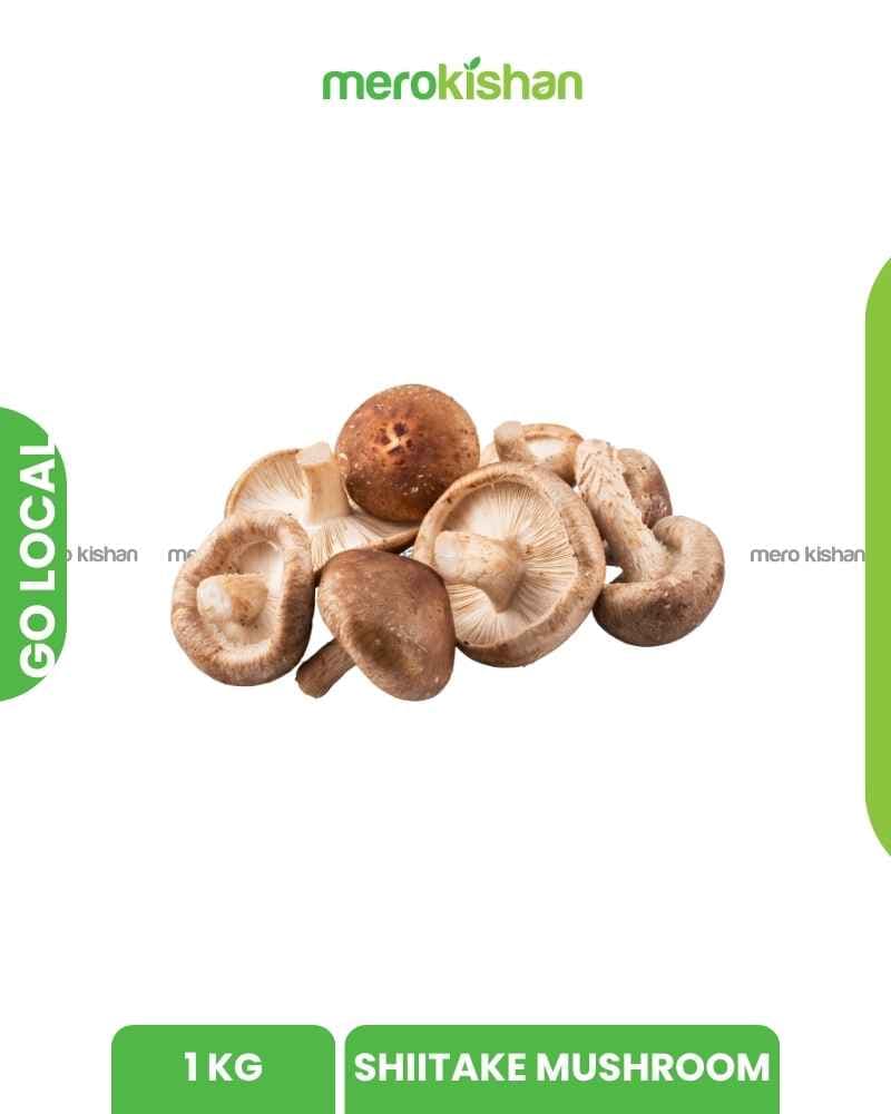 shiitake mushroom 1 kg - सिताके च्याउ एक केजी
