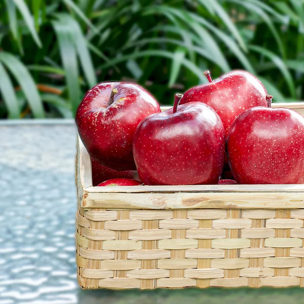 mustang apple