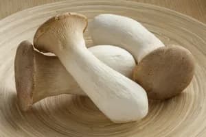 King Oyster Mushroom 1 kg
